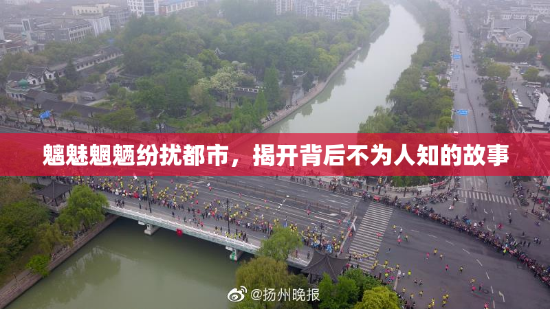 魑魅魍魉纷扰都市，揭开背后不为人知的故事