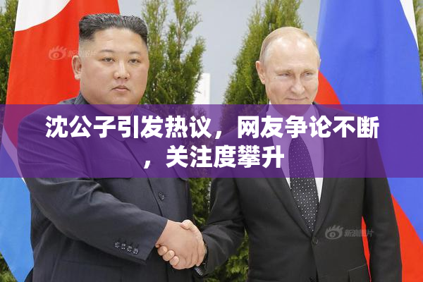 沈公子引发热议，网友争论不断，关注度攀升