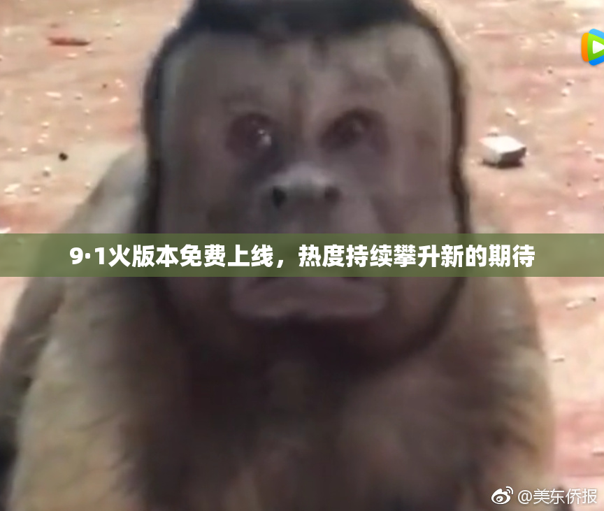 9·1火版本免费上线，热度持续攀升新的期待