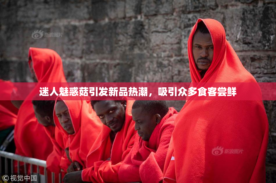 迷人魅惑菇引发新品热潮，吸引众多食客尝鲜