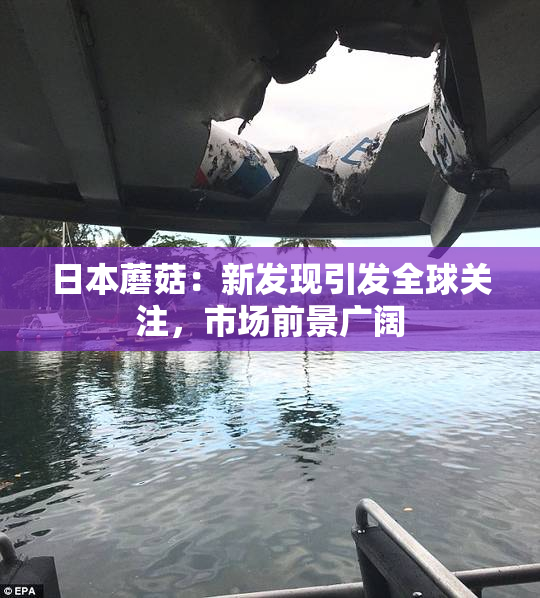 日本蘑菇：新发现引发全球关注，市场前景广阔