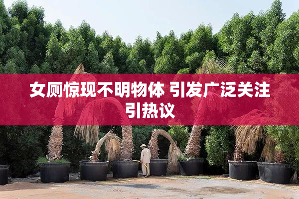 女厕惊现不明物体 引发广泛关注引热议