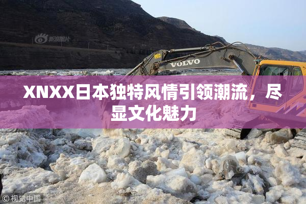 XNXX日本独特风情引领潮流，尽显文化魅力