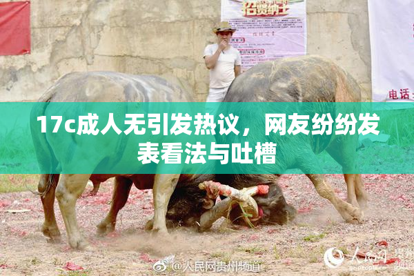 17c成人无引发热议，网友纷纷发表看法与吐槽