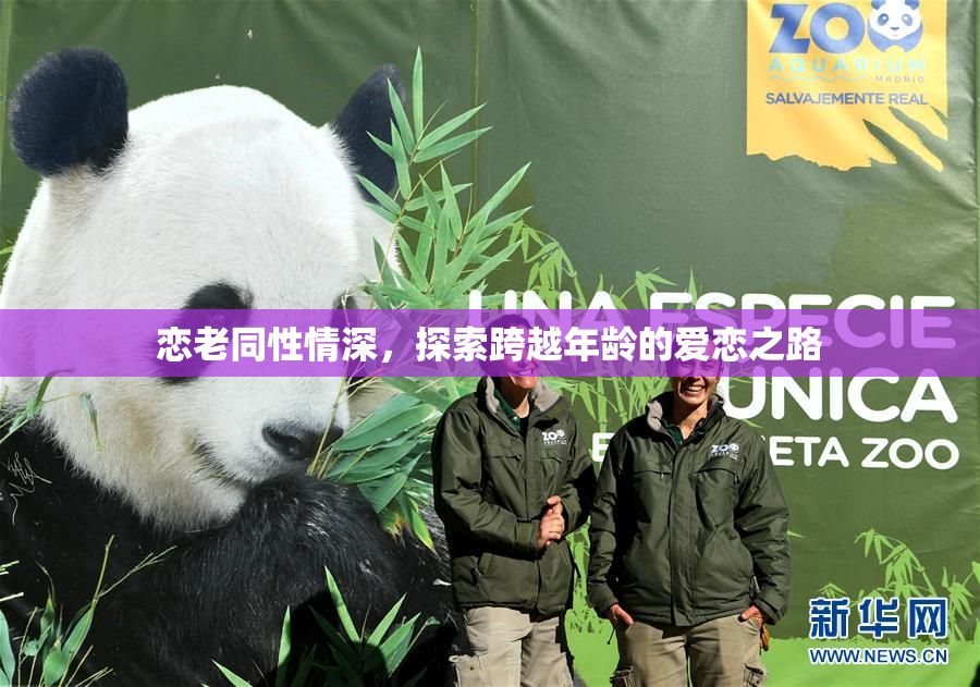 恋老同性情深，探索跨越年龄的爱恋之路