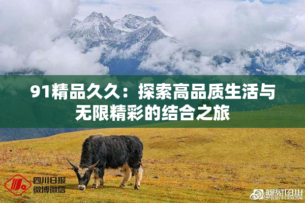 91精品久久：探索高品质生活与无限精彩的结合之旅