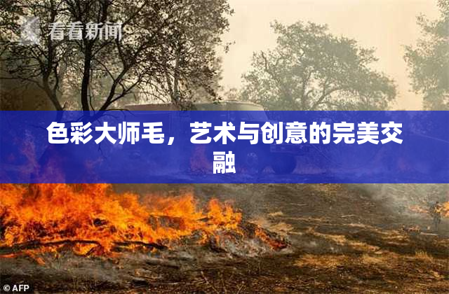 色彩大师毛，艺术与创意的完美交融