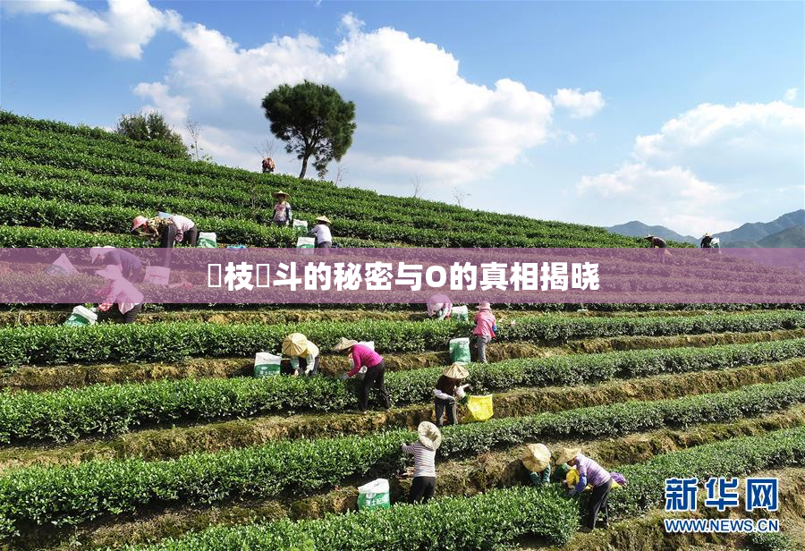 狛枝凪斗的秘密与O的真相揭晓