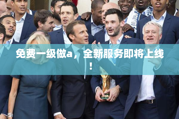 免费一级做a，全新服务即将上线！