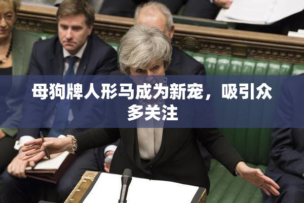 母狗牌人形马成为新宠，吸引众多关注