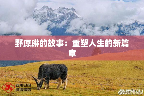 野原琳的故事：重塑人生的新篇章