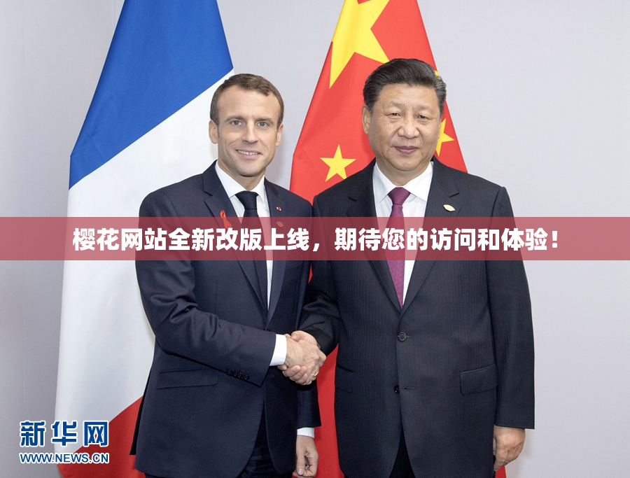 樱花网站全新改版上线，期待您的访问和体验！
