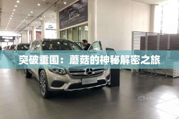 突破重围：蘑菇的神秘解密之旅