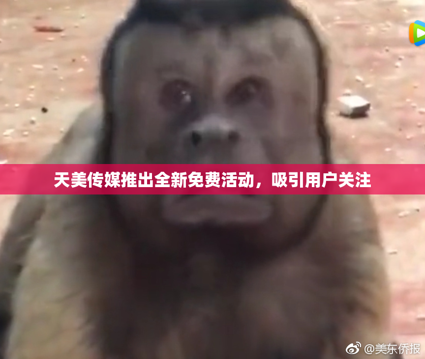 天美传媒推出全新免费活动，吸引用户关注
