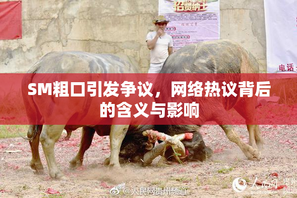 SM粗口引发争议，网络热议背后的含义与影响