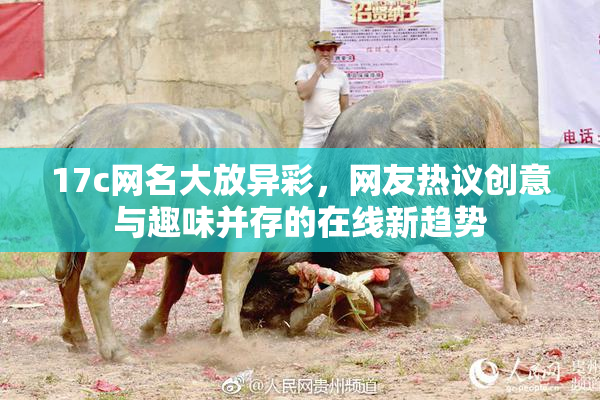 17c网名大放异彩，网友热议创意与趣味并存的在线新趋势