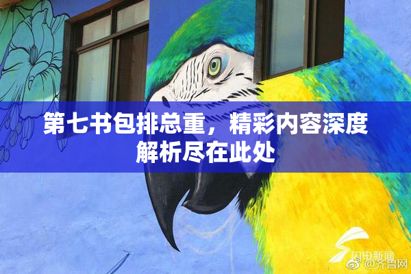 第七书包排总重，精彩内容深度解析尽在此处