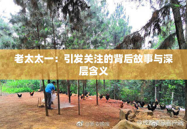 老太太一：引发关注的背后故事与深层含义