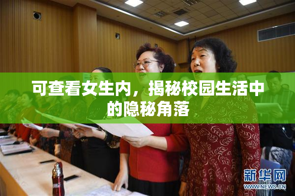 可查看女生内，揭秘校园生活中的隐秘角落