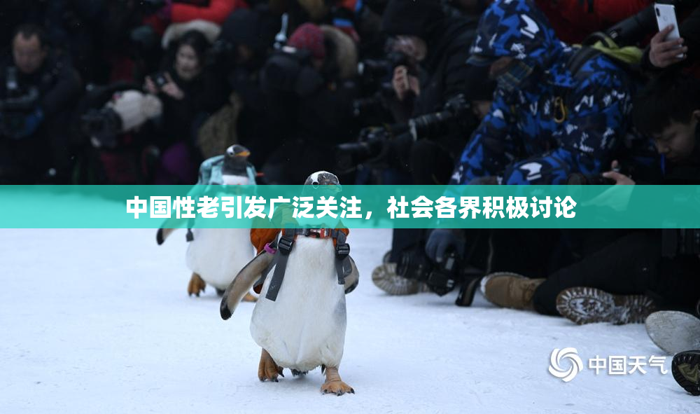 中国性老引发广泛关注，社会各界积极讨论
