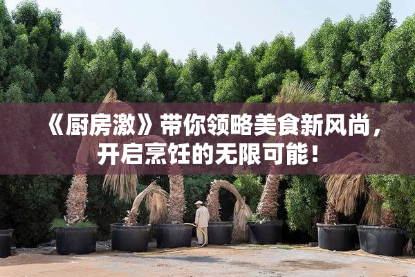 《厨房激》带你领略美食新风尚，开启烹饪的无限可能！
