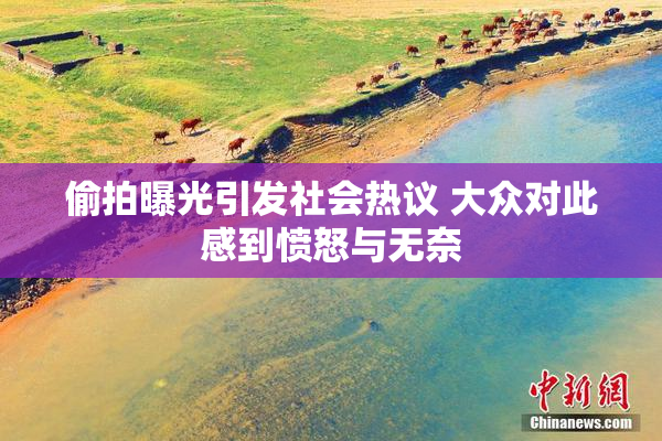 偷拍曝光引发社会热议 大众对此感到愤怒与无奈