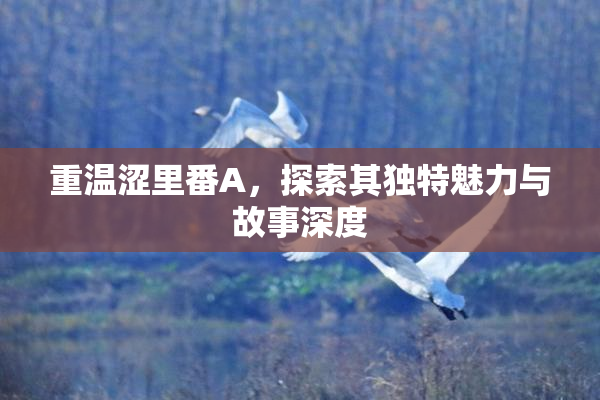 重温涩里番A，探索其独特魅力与故事深度