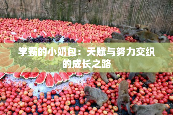 学霸的小奶包：天赋与努力交织的成长之路