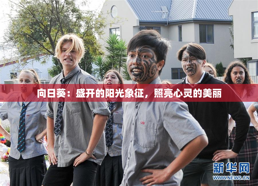 向日葵：盛开的阳光象征，照亮心灵的美丽