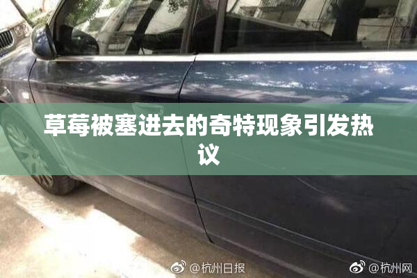 草莓被塞进去的奇特现象引发热议