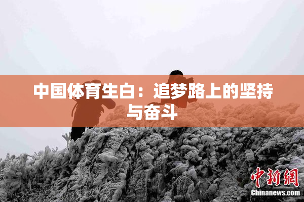 中国体育生白：追梦路上的坚持与奋斗