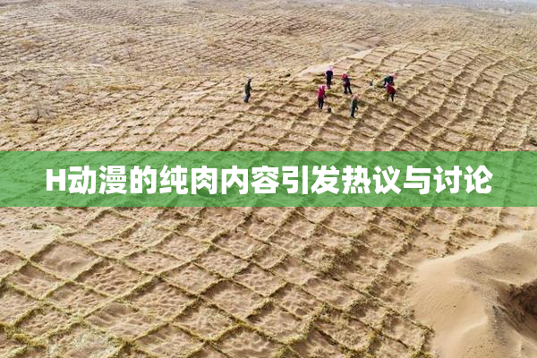 H动漫的纯肉内容引发热议与讨论