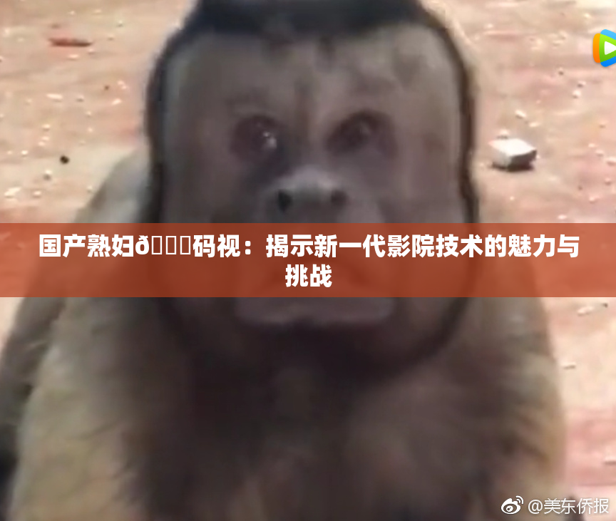 国产熟妇🈚码视：揭示新一代影院技术的魅力与挑战