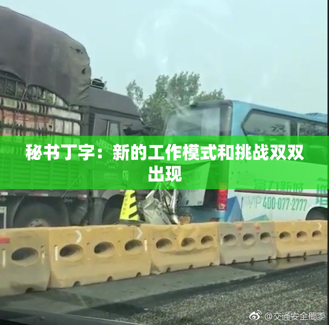 秘书丁字：新的工作模式和挑战双双出现