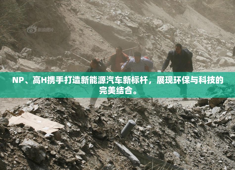 NP、高H携手打造新能源汽车新标杆，展现环保与科技的完美结合。