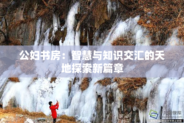 公妇书房：智慧与知识交汇的天地探索新篇章