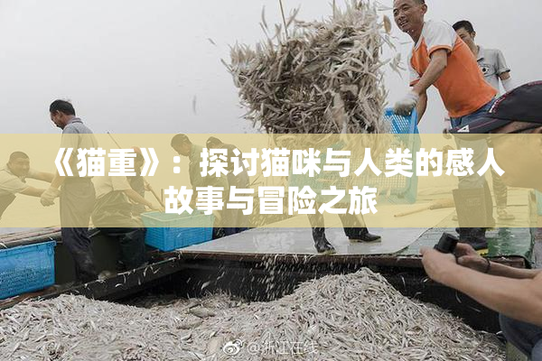 《猫重》：探讨猫咪与人类的感人故事与冒险之旅