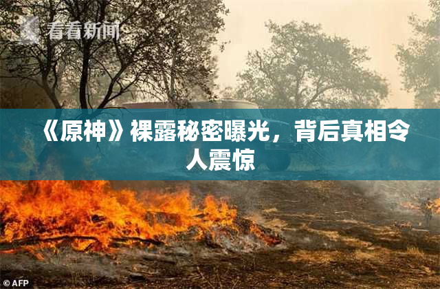 《原神》裸露秘密曝光，背后真相令人震惊