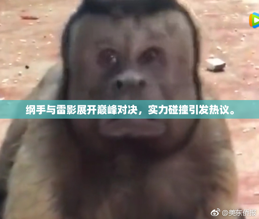 纲手与雷影展开巅峰对决，实力碰撞引发热议。