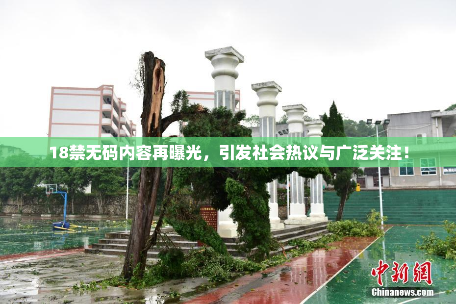 18禁无码内容再曝光，引发社会热议与广泛关注！