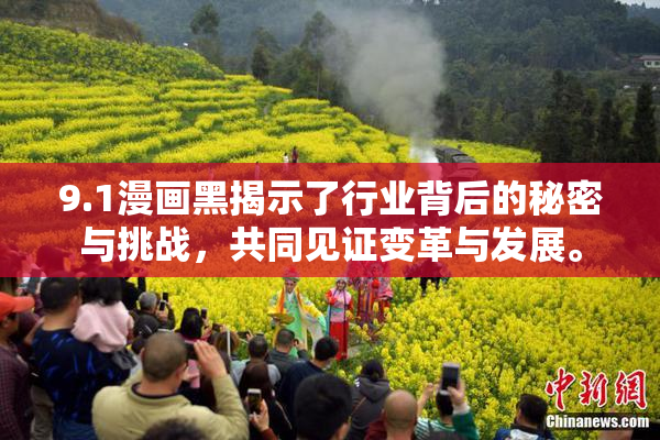 9.1漫画黑揭示了行业背后的秘密与挑战，共同见证变革与发展。