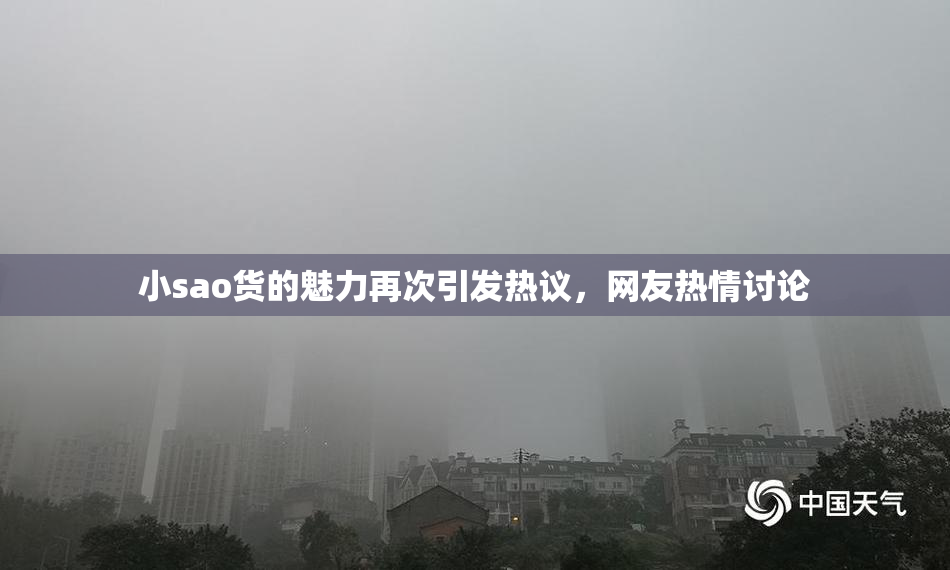 小sao货的魅力再次引发热议，网友热情讨论