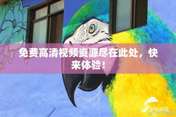 免费高清视频资源尽在此处，快来体验！