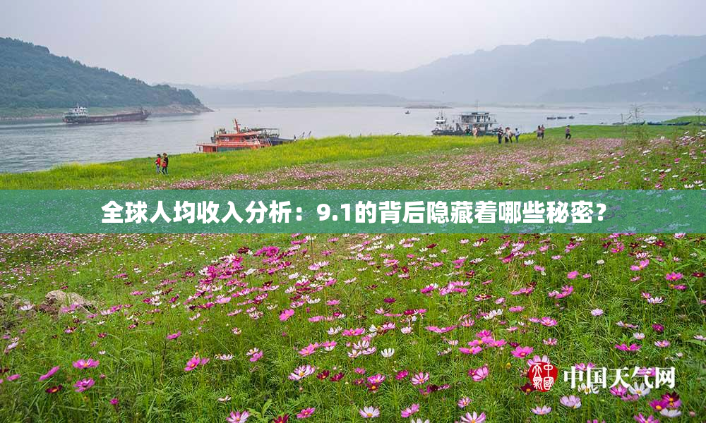 全球人均收入分析：9.1的背后隐藏着哪些秘密？