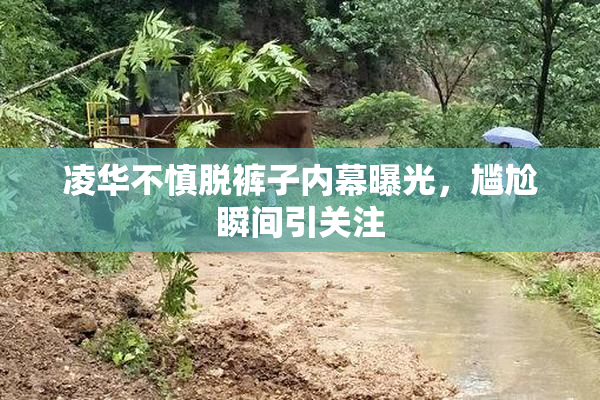 凌华不慎脱裤子内幕曝光，尴尬瞬间引关注