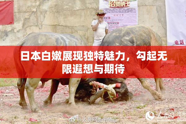 日本白嫩展现独特魅力，勾起无限遐想与期待