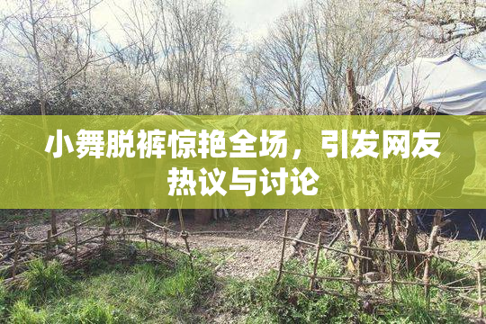小舞脱裤惊艳全场，引发网友热议与讨论