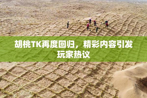 胡桃TK再度回归，精彩内容引发玩家热议