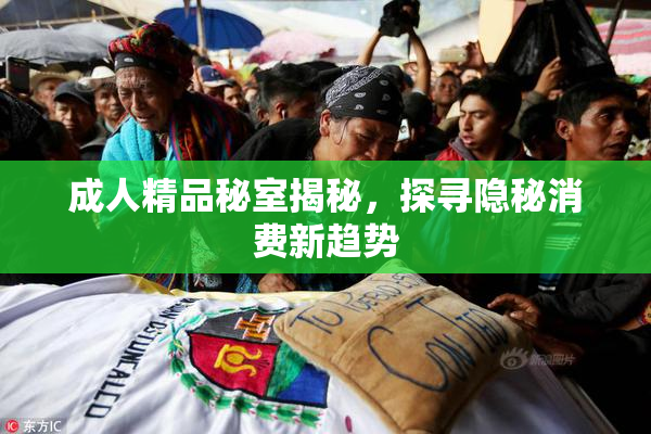 成人精品秘室揭秘，探寻隐秘消费新趋势