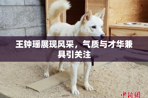 王钟瑶展现风采，气质与才华兼具引关注